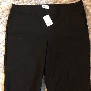 Prescott Black Shorts NEW - Stretchy - size 22W